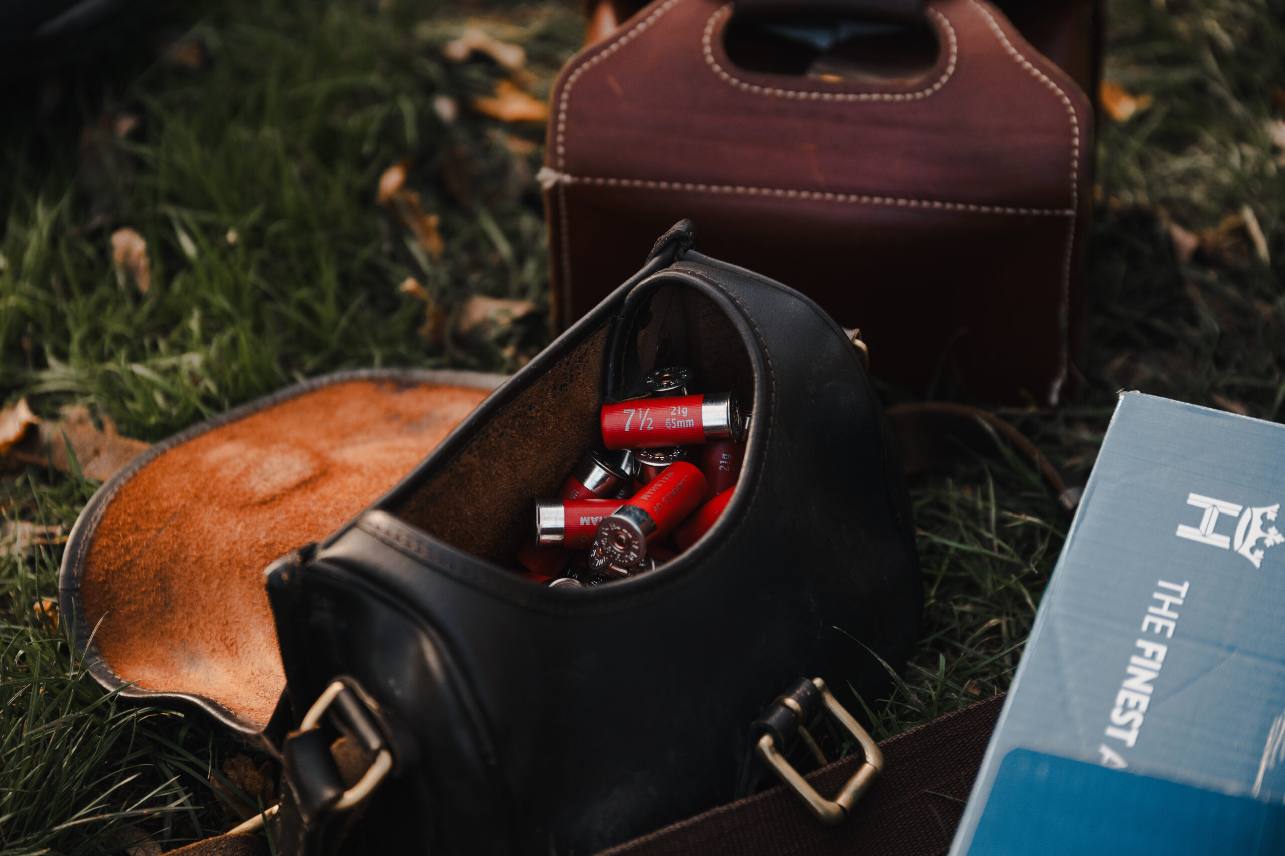 Festive Shoot Day - Image 6