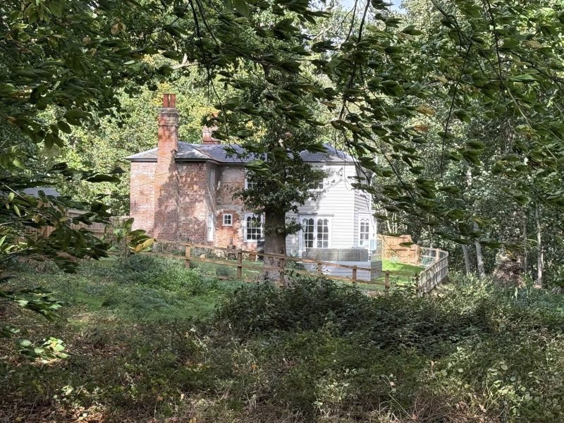 cosgrove from wood cosgrove from wood